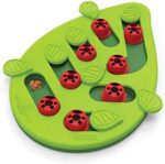 Nina Ottosson von Petstages Buggin Out Puzzle & Play - Interaktives Katzenspielzeug für Leckerlis