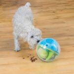 Outward Hound Nina Ottosson – Bild 8