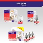 FELIWAY Friends Start-Set für Katzen | Verdampfer für Steckdose & Flakon | Pheromone zur Reduktion von Spannungen & Konflikte zwischen Katzen | mehr Harmonie im Mehrkatzenhaushalt | 48ml – Bild 8