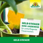 Neudorff Gelbsticker gegen kleine fliegende Schädlinge wie Trauermücken, insektizid frei, geruchlos, 10 Stück – Bild 5
