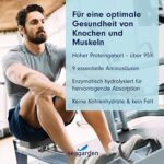 Marine Collagen Pulver – Typ 1 Kollagen aus wildem Kabeljau, 300 g – Bild 5