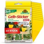 Neudorff Gelbsticker gegen kleine fliegende Schädlinge wie Trauermücken, insektizid frei, geruchlos, 10 Stück