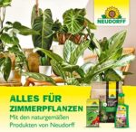 Neudorff Gelbsticker gegen kleine fliegende Schädlinge wie Trauermücken, insektizid frei, geruchlos, 10 Stück – Bild 8