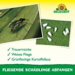 Neudorff Gelbsticker gegen kleine fliegende Schädlinge wie Trauermücken, insektizid frei, geruchlos, 10 Stück – Bild 4