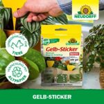Neudorff Gelbsticker gegen kleine fliegende Schädlinge wie Trauermücken, insektizid frei, geruchlos, 10 Stück – Bild 7