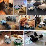 Pawaboo Katzenspielzeug Elektrische Maus, Interaktiv Kätzchen Spielzeug Katzenbett Kratzmatte Katzenminze, Süss und Sicher Spielzeug Spielball für Kleine Katze Spiel Beissen Kauen – Bild 2