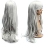 Dazone 70cm Karneval Perücke Lang Voll Cosplay, Lockig Wellig Fashion Kostüme Damen Haarteil Cosplay Wig für Alltag, Party Perücke Lang,Halloween Weihnachten