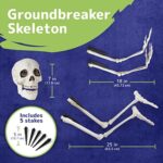 PREXTEX Gruselige Friedhofsdeko für Halloween, aus der Erde steigendes Skelett für Ihre Halloween-Deko – Bild 2