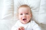Siebenschläfer Baby Bettdecke und Kissen im Set | Siebenschläfer 4-Jahreszeiten Bettdecke | Siebenschläfer Sommerdecke | Medium Ganzjahresdecke | Siebenschläfer Winterdecke – Bild 4