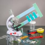 Clementoni Galileo Lab – Natur unter dem Mikroskop, Mikroskop für Kinder, Biologie-Labor für Schulkinder, ideal als Geschenk, Spielzeug für Kinder ab 8 Jahren von Clementoni – Bild 7