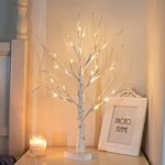 EAMBRITE Lichterbaum Lichterzweige für Innen 24 Warmweiss LEDs Bäumchen Birken Dekozweige Batteriebetrieb Weihnachtsdeko für Zuhause Party Geburtstag Hochzeit Innendekoration (60cm/2ft) – Bild 3