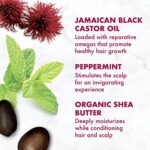 Sheamoisture Jamaican Black Castor Oil ohne Silikone oder Sulfate Strengthen & Restore Conditioner für chemisch behandeltes, hitzegestyltes oder natürliches Haar, 384 ml – Bild 11