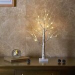 EAMBRITE Lichterbaum Lichterzweige für Innen 24 Warmweiss LEDs Bäumchen Birken Dekozweige Batteriebetrieb Weihnachtsdeko für Zuhause Party Geburtstag Hochzeit Innendekoration (60cm/2ft)