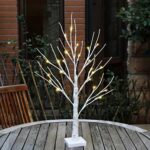 EAMBRITE Lichterbaum Lichterzweige für Innen 24 Warmweiss LEDs Bäumchen Birken Dekozweige Batteriebetrieb Weihnachtsdeko für Zuhause Party Geburtstag Hochzeit Innendekoration (60cm/2ft) – Bild 8
