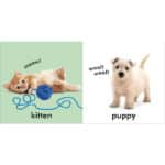 Baby Touch and Feel Animals – Bild 3