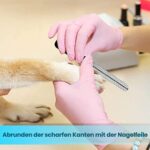 Candure Krallenschere aus Edelstahl – Profi Nagelknipser für Hunde, Katzen & Haustiere – Bild 5
