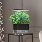 AeroGarden Harvest Elite Hydrokultursystem für den Innenbereich, mit LED-Wachstumslicht und Kräuter-Set, hält bis zu 6 Kapseln – Bild 2