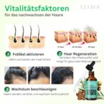LEVROU Bio Rosmarinöl Haare Haaröl Rosmarinminz Öl Rizinus Biotin Jojoba Argan und vielen anderen Ölen stärkt die Haare schnelles gesundes Haarwachstum Rosmarin Öl 100% Vegan 60ml – Bild 3