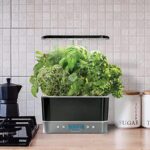 AeroGarden Harvest Elite Hydrokultursystem für den Innenbereich, mit LED-Wachstumslicht und Kräuter-Set, hält bis zu 6 Kapseln – Bild 3