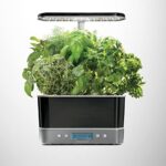 AeroGarden Harvest Elite Hydrokultursystem für den Innenbereich, mit LED-Wachstumslicht und Kräuter-Set, hält bis zu 6 Kapseln – Bild 4