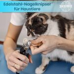 Candure Krallenschere aus Edelstahl – Profi Nagelknipser für Hunde, Katzen & Haustiere – Bild 2