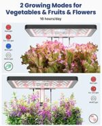iDOO Hydroponisches Anzuchtsystem, 12Hülsen Smart Garden mit Automatisch Timer – Bild 4