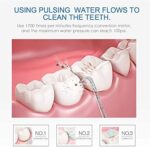 Munddusche Elektrische - TUREWELL Zahnzwischenraumreiniger mit 10 Druckstufen und 8 Düsen,IPX7 Wasserdicht Oral Irrigator, 600ML Wasser Flosser für Zuhause – Bild 4