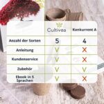 Bonsai Starter Kit – Set Bonsai Anzuchtset 5 verschiedene Bonsaï-Samen – Wachstumsanleitung enthalten - Züchten Sie Ihren wunderschönen Bonsai – Geschenkidee für Männer und Frauen – Bild 5