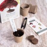Bonsai Starter Kit – Set Bonsai Anzuchtset 5 verschiedene Bonsaï-Samen – Wachstumsanleitung enthalten - Züchten Sie Ihren wunderschönen Bonsai – Geschenkidee für Männer und Frauen – Bild 6