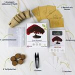 Bonsai Starter Kit – Set Bonsai Anzuchtset 5 verschiedene Bonsaï-Samen – Wachstumsanleitung enthalten - Züchten Sie Ihren wunderschönen Bonsai – Geschenkidee für Männer und Frauen – Bild 2