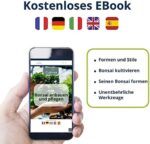 Bonsai Starter Kit – Set Bonsai Anzuchtset 5 verschiedene Bonsaï-Samen – Wachstumsanleitung enthalten - Züchten Sie Ihren wunderschönen Bonsai – Geschenkidee für Männer und Frauen – Bild 4