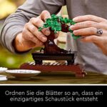 ordnen sie die blatter so an