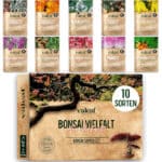 10 Bonsai Samen aus 5 Kontinenten