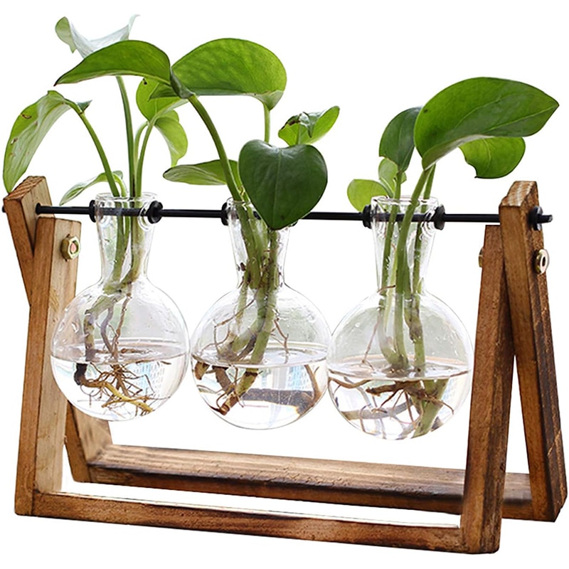 XXXFLOWER Pflanzen-Terrarium mit Holzständer