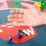 Alleswisser - Das Brettspiel, interaktives Quiz-, Wissens- und Familienspiel mit App für iOS und Android mit Tasche im Familie-Layout, für 2 bis 4 Spieler – Bild 6