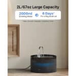 2L large capacity