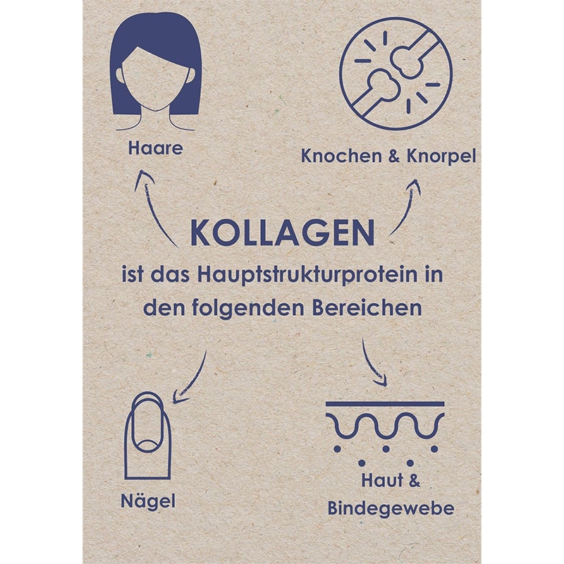 Kollagen Hydrolysat Peptide Typ 1, 2, 3