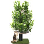 Kratzbaum Natur zum Klettern, Verstecken und Schlafen