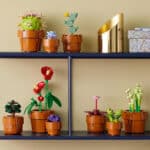 Botanical Collection Sammel-Set