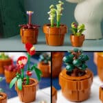 für Erwachsene mit baubarem Terrakotta-Topf