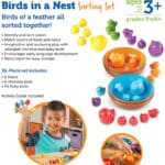 Learning Resources Sortierset „Vögel und Nester“