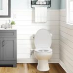 SAMODRA Ultradünnes, minimalistisches Bidet für Toilette mit nicht elektrischer Doppeldüse