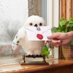 Harry Potter's Interaktive Plüsch-Eule Hedwig - 15+ Geräusche & Bewegungen – Bild 4