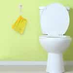 PandaEar Faltbarer Toilettensitz für Kinder – Tragbarer, Rutschfester und Recycelbarer Toilettentrainer