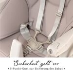 Sweety Fox Baby Hochstuhl - Verstellbar & Klappbar, Mit Sicherheitsgurt