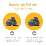 Osann Junior Isofix i-Size Sitzerhöhung