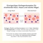 Alpha Foods Beauty Collagen Pulver (400g) - Kollagen Hydrolysat Peptide Type I, II, III & IV - Hochdosiert Kollagenpulver mit Hyaluronsäure, Elastin, und Keratin