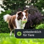Turbogrün Rasendünger - Ideal für Frühjahr & Sommer