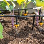 Esotec Solar Bewässerungssystem WaterDrops - 15 Tropfauslässe für Pflanzen