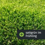 Turbogrün Rasendünger - Ideal für Frühjahr & Sommer